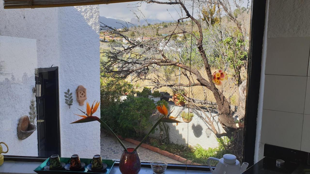 Casa Flores *