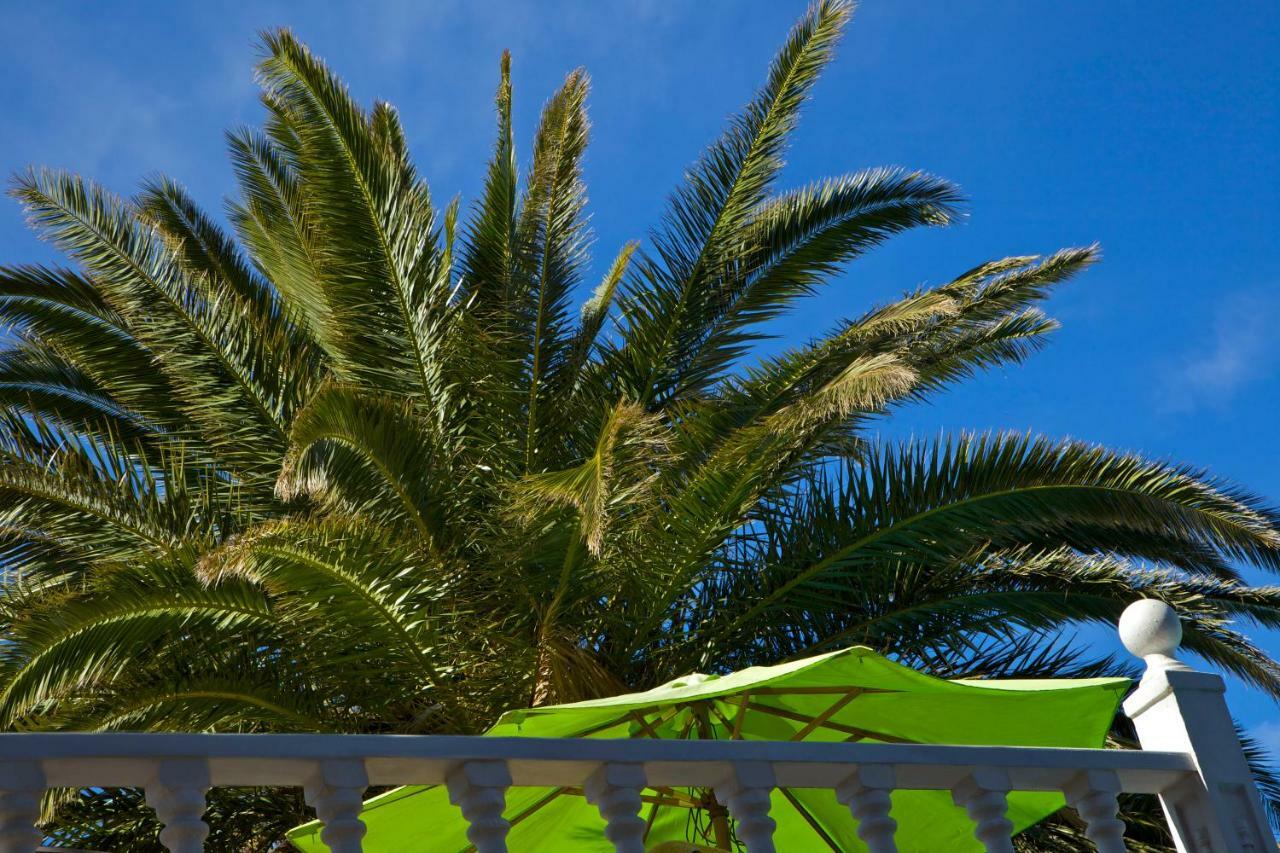 Casa Flores *